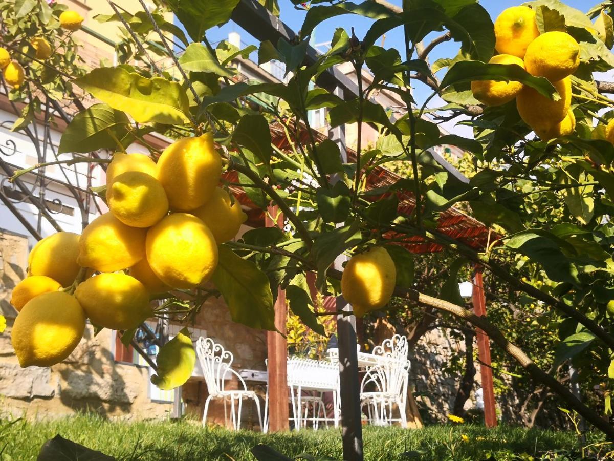 Florinda Lemon'S Suite Cervo Exteriör bild