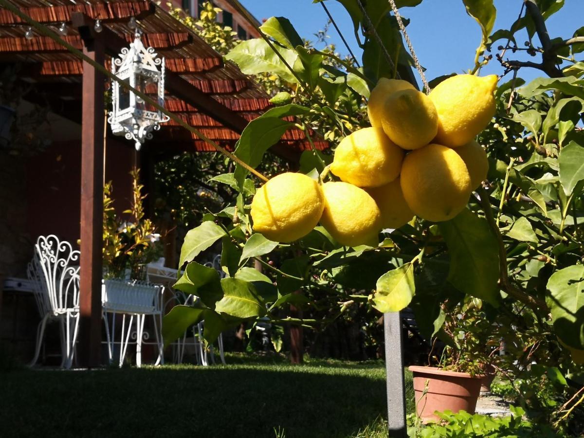 Florinda Lemon'S Suite Cervo Exteriör bild