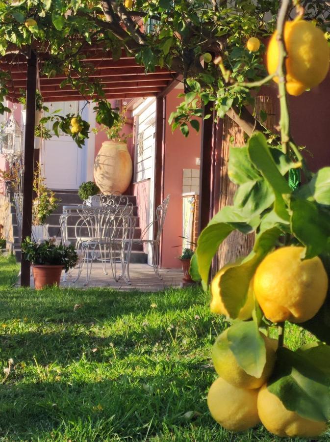 Florinda Lemon'S Suite Cervo Exteriör bild