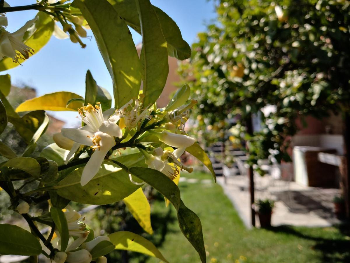 Florinda Lemon'S Suite Cervo Exteriör bild