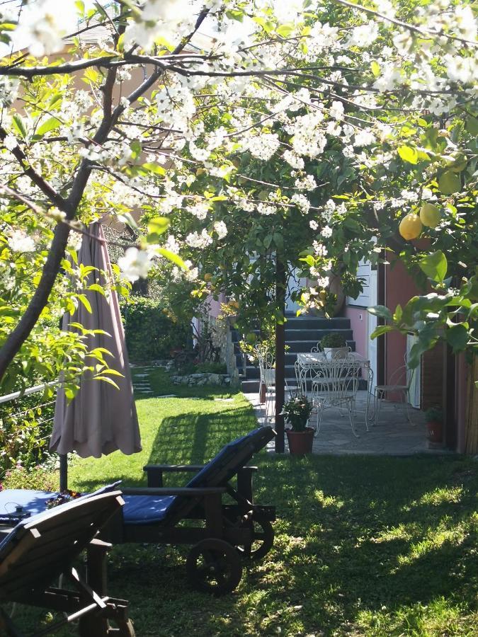Florinda Lemon'S Suite Cervo Exteriör bild