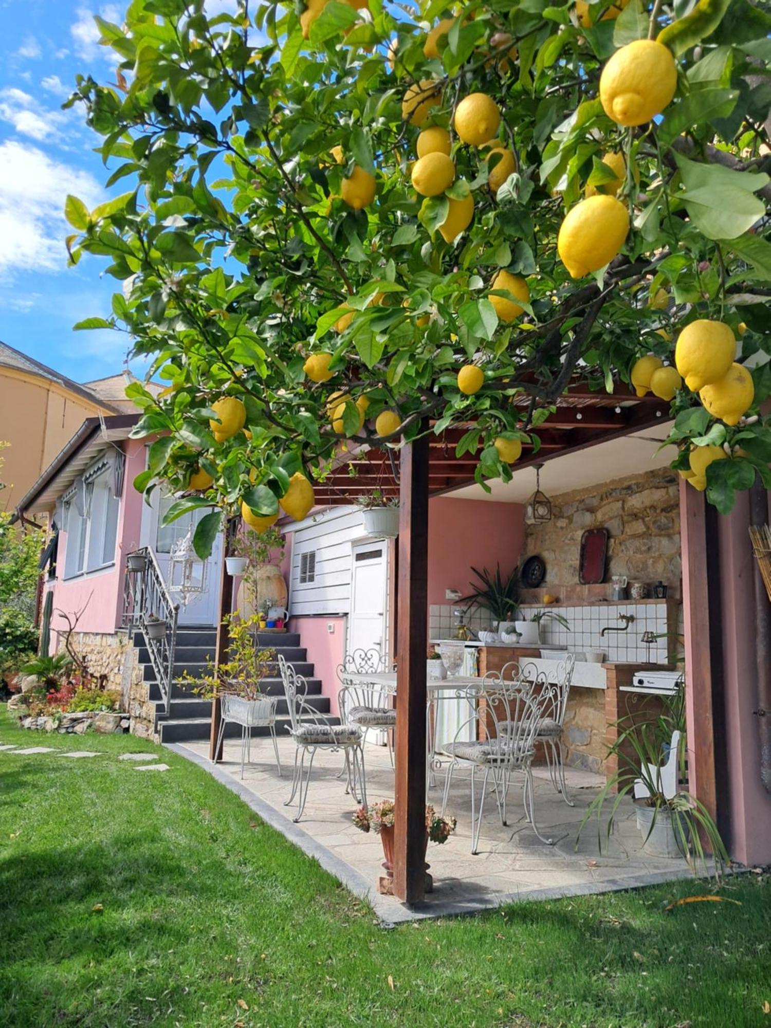 Florinda Lemon'S Suite Cervo Exteriör bild
