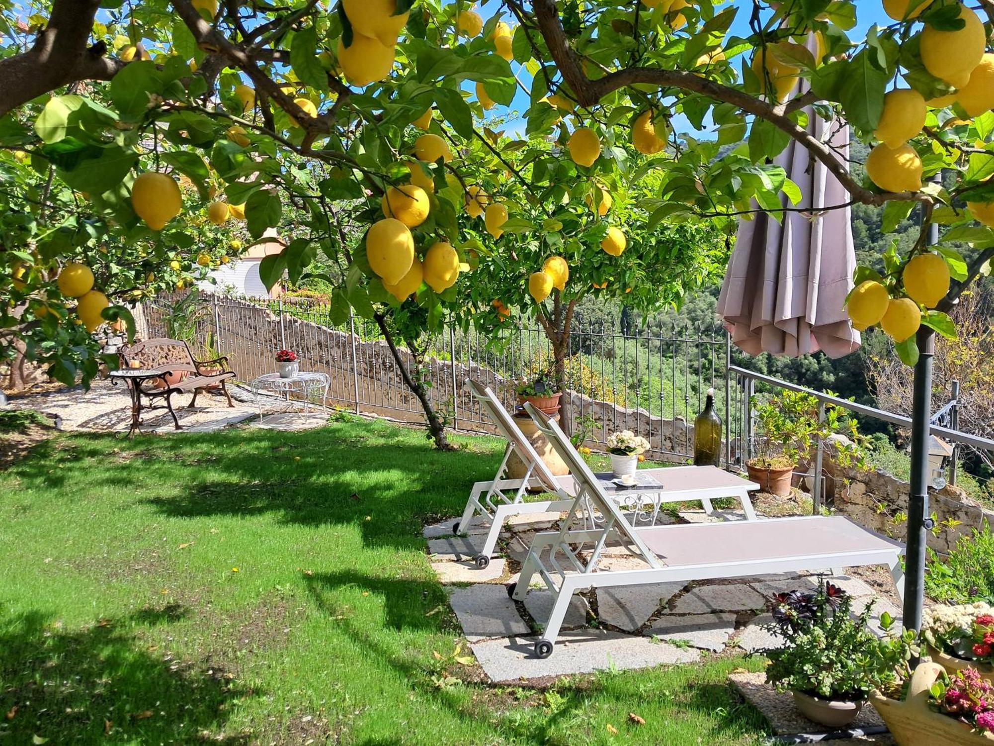 Florinda Lemon'S Suite Cervo Exteriör bild
