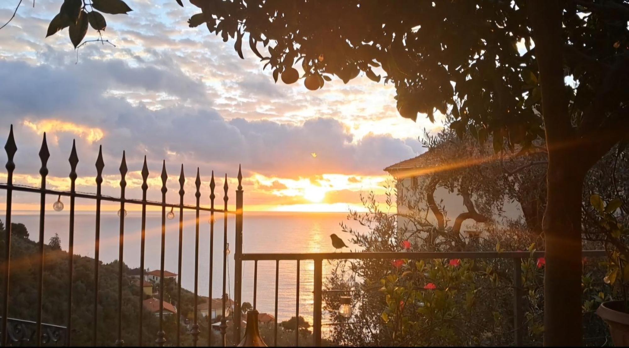 Florinda Lemon'S Suite Cervo Exteriör bild